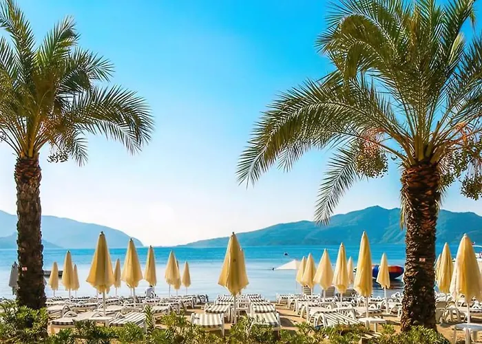 Aurasia Design 3* Marmaris